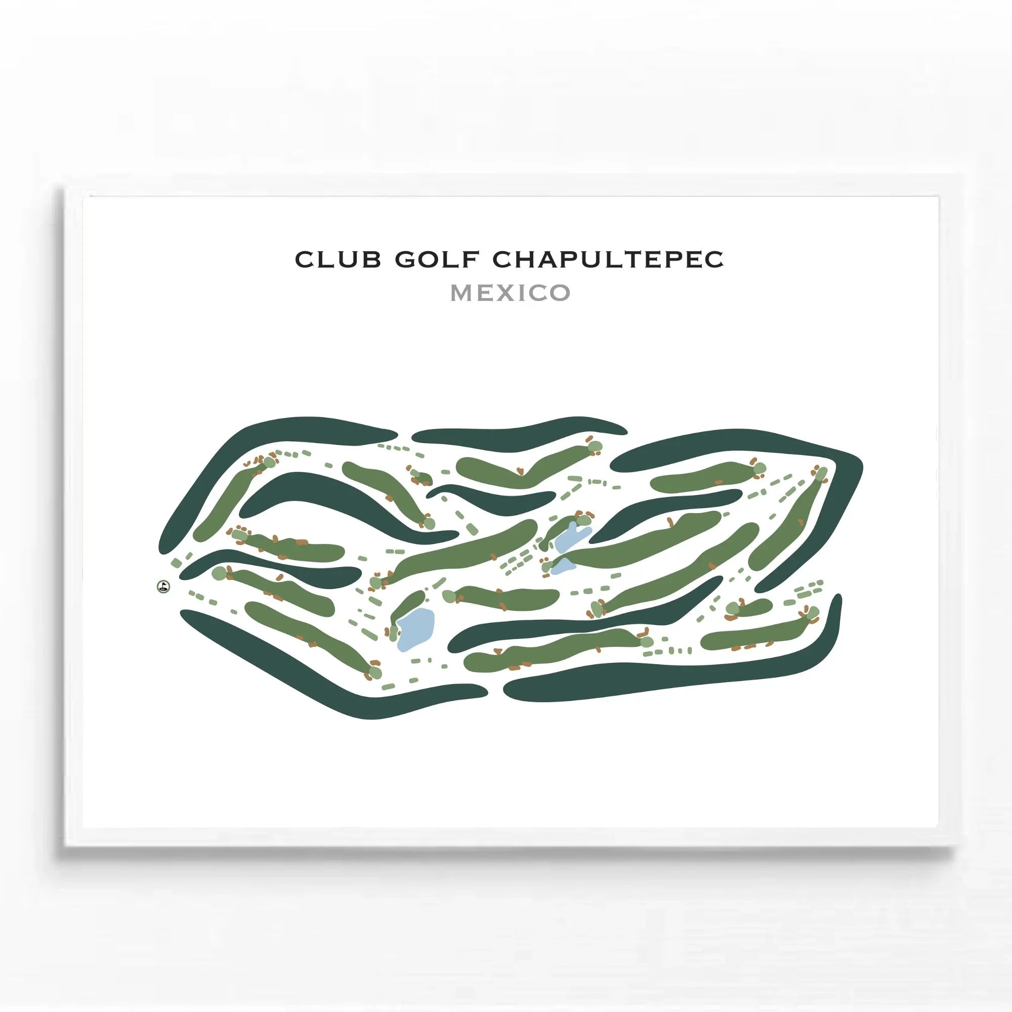Print / 8x10 inches / Unframed