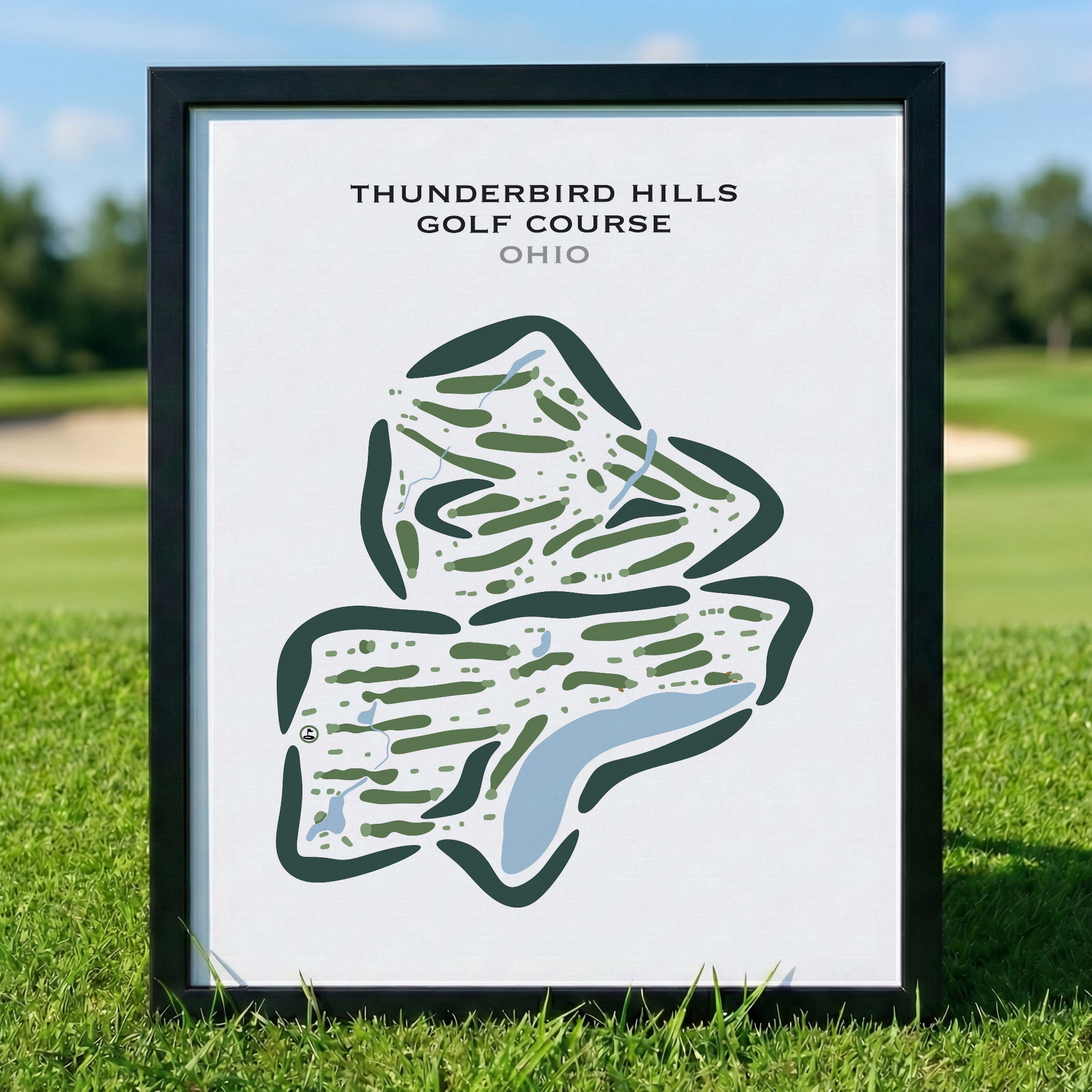 Print / 8x10 Inches / Unframed